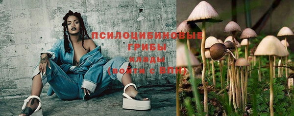 метадон Пересвет