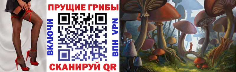 Псилоцибиновые грибы прущие грибы  Ардон 